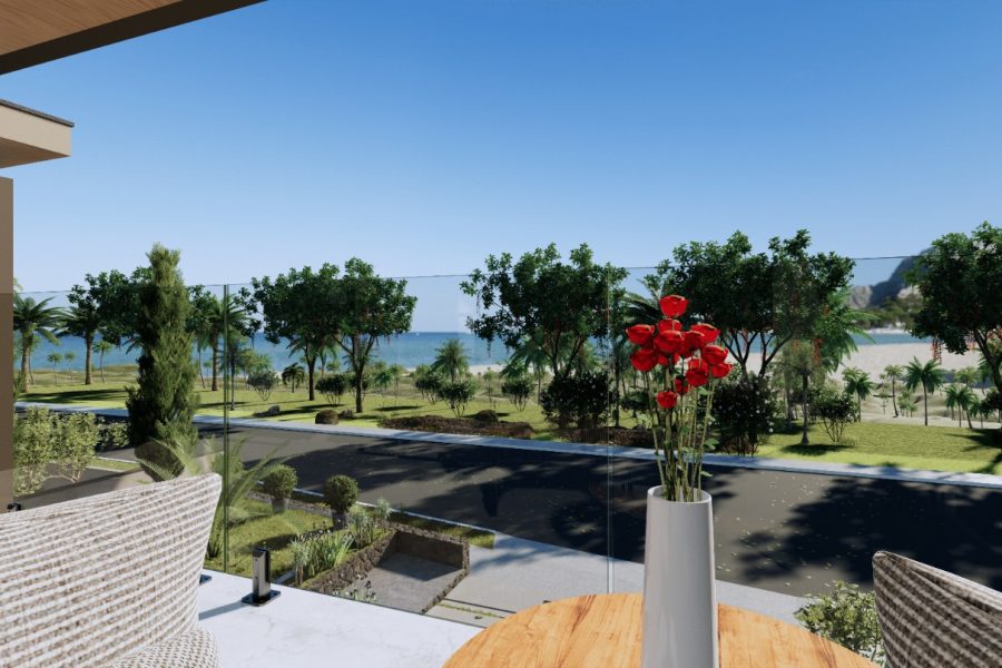 WhatsApp Image 2025-10-31 at 15.21.02